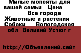 Милые мопсяты для вашей семьи › Цена ­ 20 000 - Все города Животные и растения » Собаки   . Вологодская обл.,Великий Устюг г.